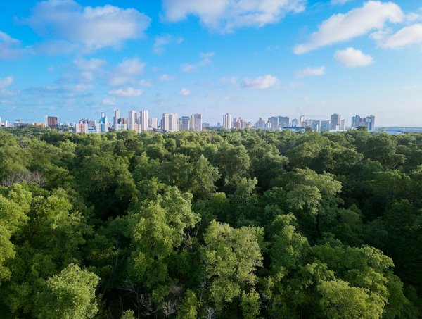 L'Impact des Rôles Sociaux dans le Sport : Une Analyse Critique et Inspirante