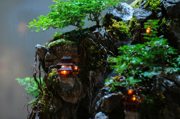 Assurance restaurant : choisissez la protection idéale pour vous