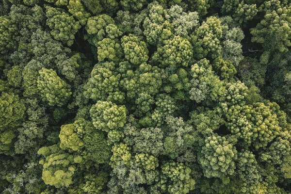 Rénovation de combles : créez votre espace de vie unique